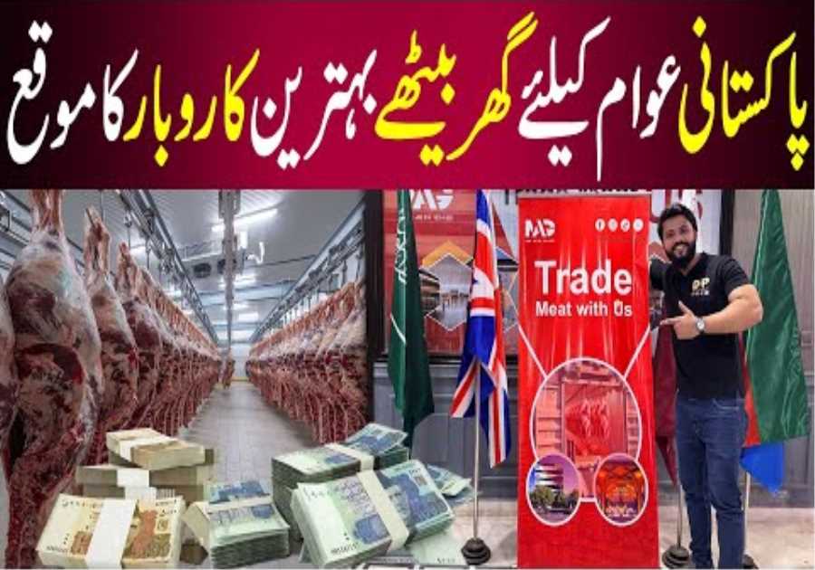 Where to Invest in Pakistan in 2025 | Halal Business Ideas & Trends | Mag Ventures