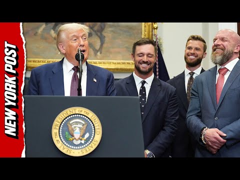 ‘I was fighting lunatics like you’: Trump SLAMS reporter on tariff question