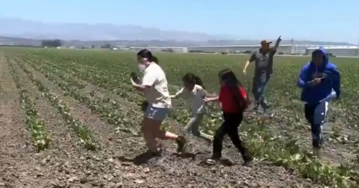 NEW: Appeals Court Stacked with Left-Wing Judges Keeps in Place Biden Judge’s Order Blocking Trump DHS From Carrying Out Sweeping Immigration Raids