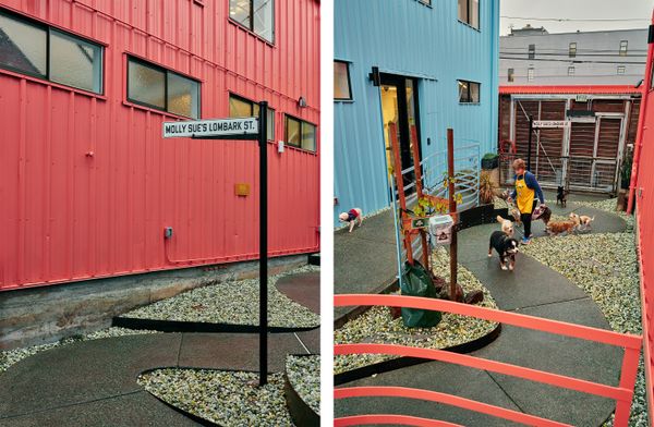 Muttville employee Patty Stanton walks a group of dogs along the curvy walkway at the rear entrance, where the dogs are brought into the shelter. A Lombark Street sign along the path nods to San Francisco’s famous winding landmark.