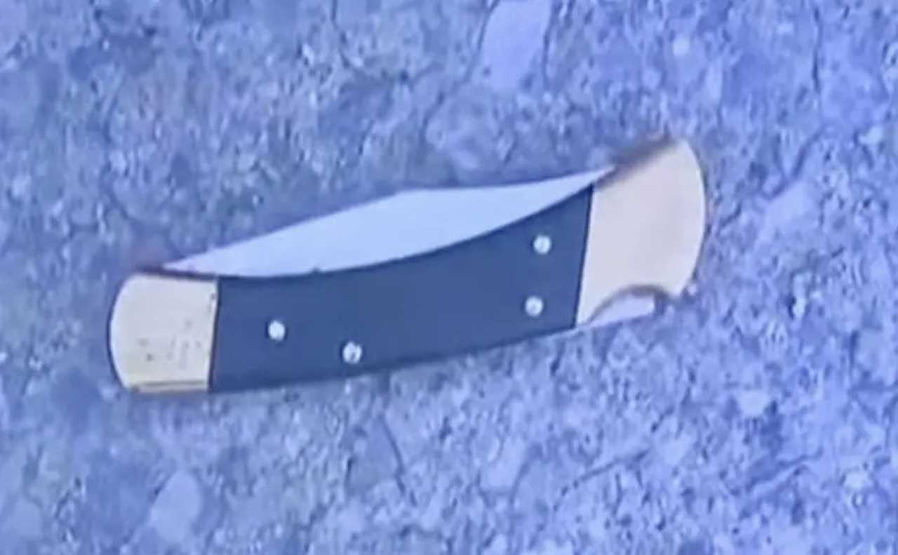 WATCH: Chilling Surveillance Video Shows 42-Year-Old Bradford Gille Stabbing Innocent Shoppers at a Traverse City Walmart