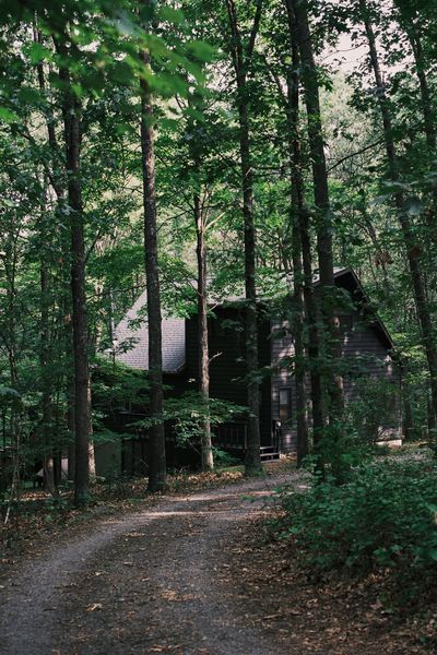 The Berkeley Springs, West Virginia, cabin, originally built in 1990, that Julie Fields and Malcom Taylor renovated as their second home and rental property features matte black-painted cedar siding that references the tree trunks of its forested setting.