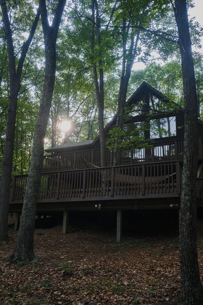The chalet-style cabin's wooded landscape offers privacy and respite.