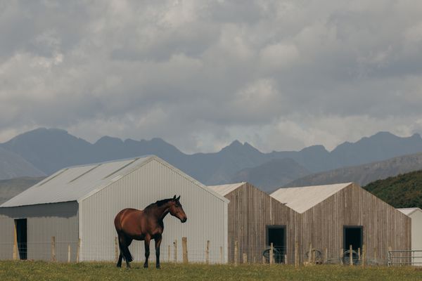 The palette of the Hebridean skies and mountains complements the Stephens’ choice of Siberian larch cladding for the house and aluminum for both a guest house and the stables for their horse, Dram.