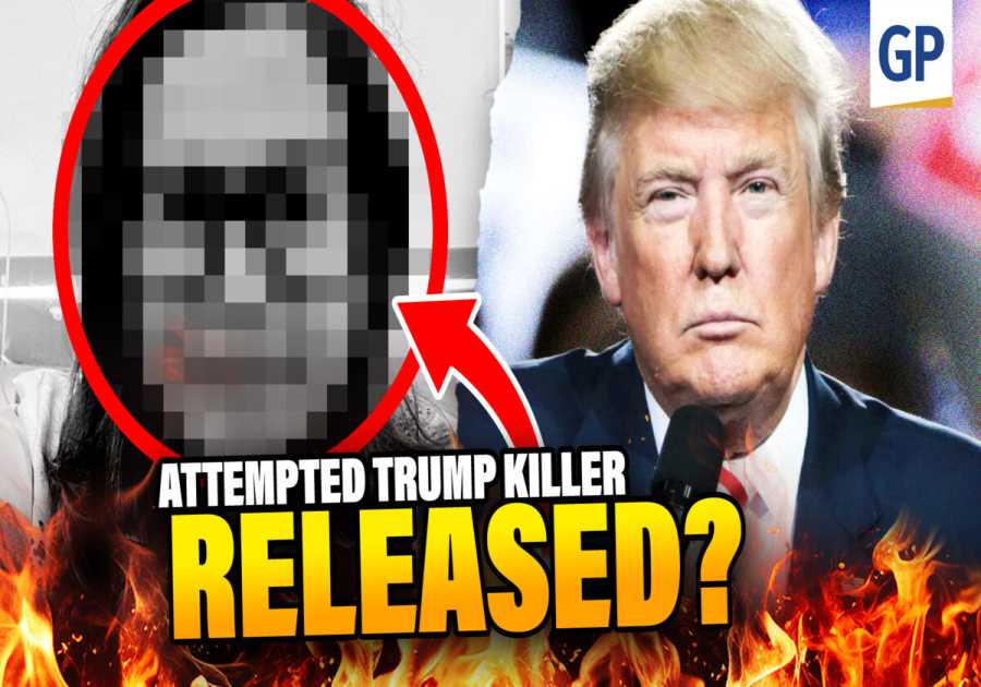 OUTRAGE: Woman Who Threatened to Kill Trump FREED by Obama Judge | Elijah Schaffer’s Top Stories (VIDEO)