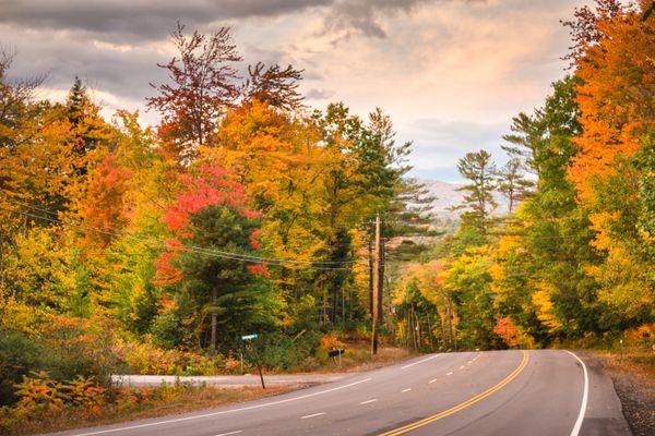 Autumnal park in Vermont - New England during the autumn
