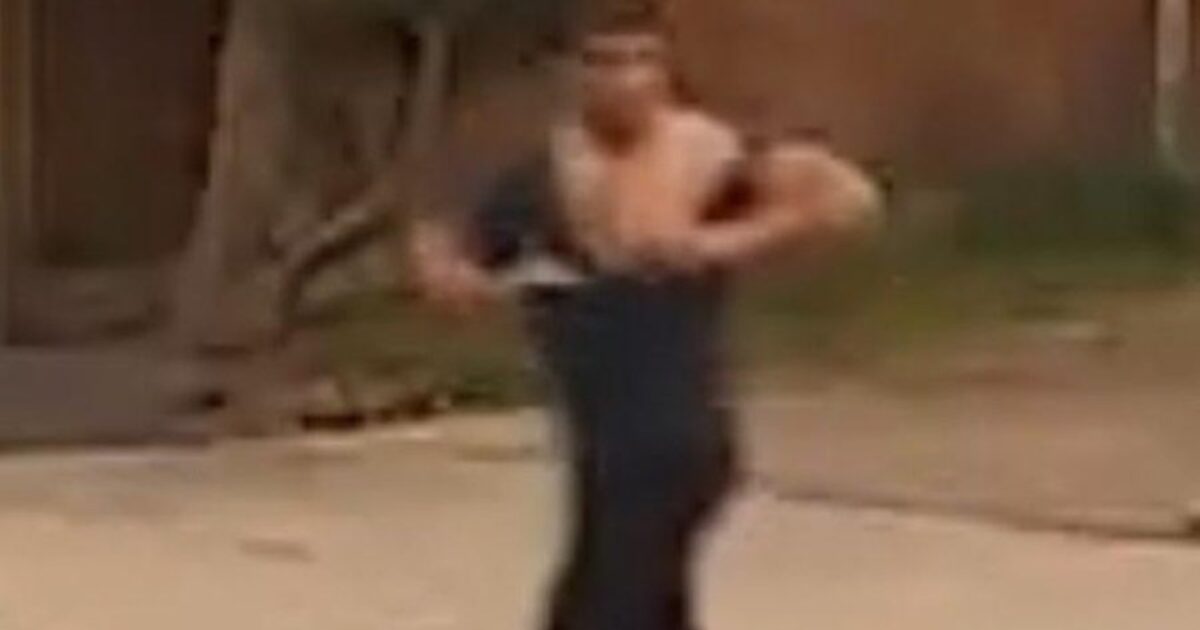 London: Afghan Given Asylum in UK Arrested for Stabbing to Death a Man Walking His Dog, Wounding Another Man and a 14-Year-Old Boy on a Quiet Neighborhood Street