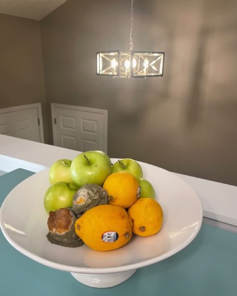 Bowl of rotten fruit sitting in a white bowl on a teal counter.
