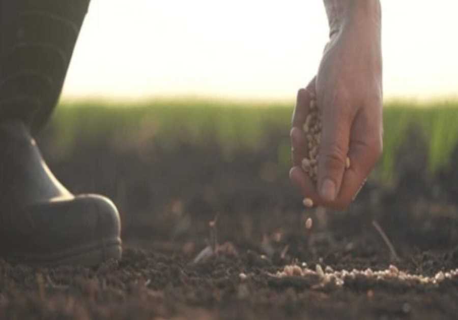 Trump Promises to Allocate Tariff Revenues to Bail Out U.S. Farmers