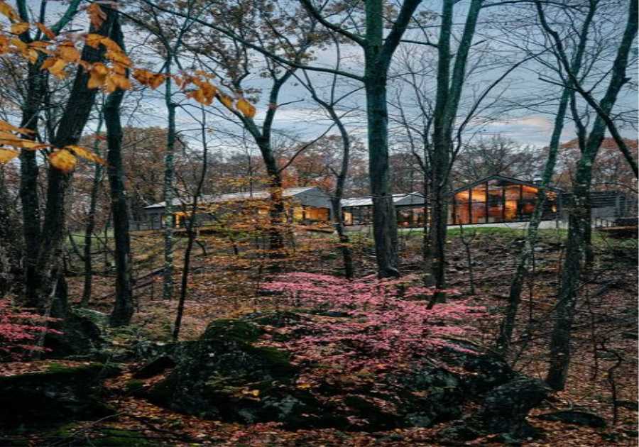A Dinner at Noma Inspired This Upstate New York Retreat