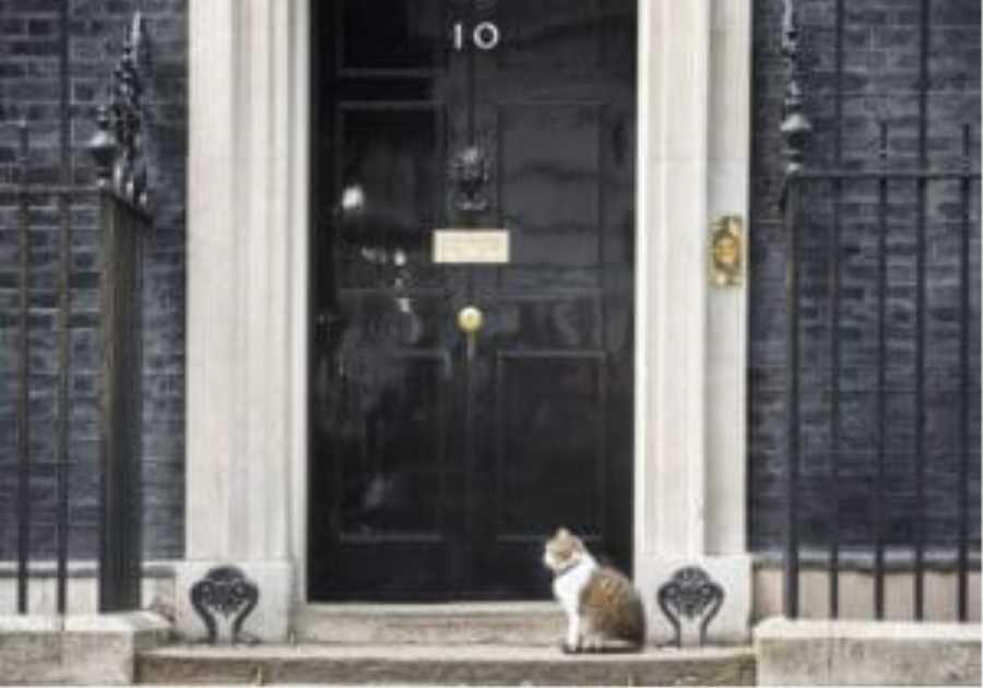 Reeves’ Budget: is Larry’s cat food the last refuge?