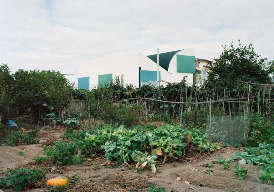 This Home in Portugal Turns Convention Upside Down—Starting With the Roof