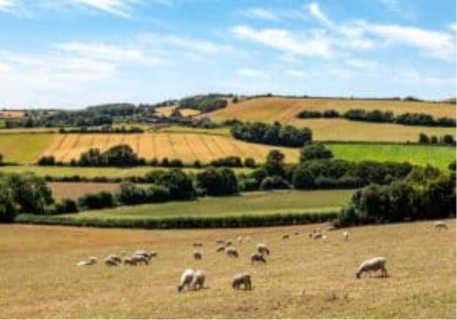 Larry Ellison Backs Oxford spinout Wild Bio in £45M round