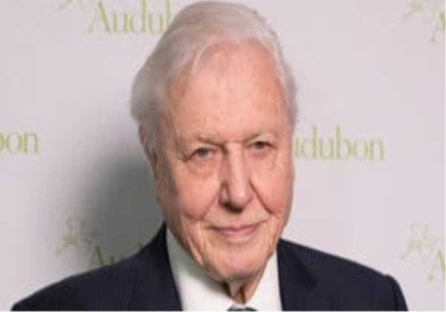 Sir David Attenborough, 99, becomes oldest daytime Emmy winner