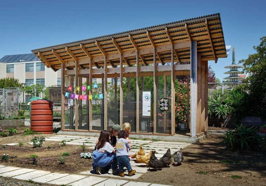 How They Pulled It Off: An Architectural Chicken Coop in a San Francisco Schoolyard