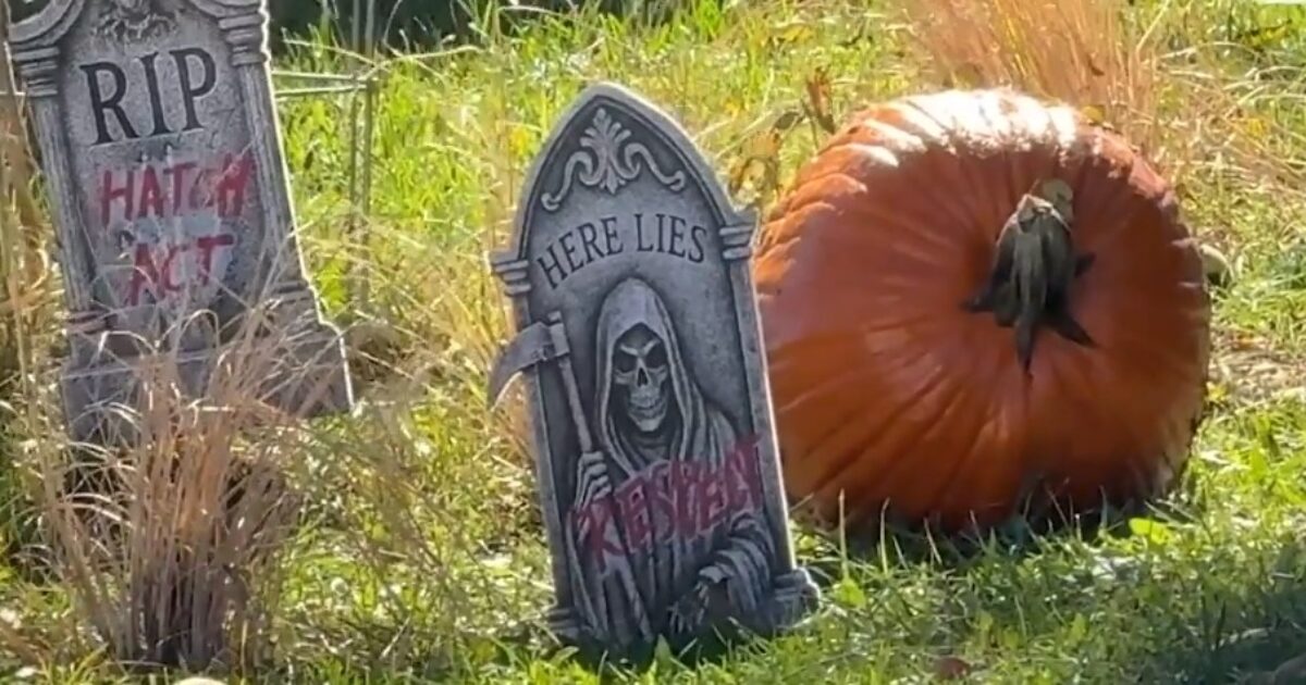 Leftist Maryland State Supreme Court Justice Takes Heat Over Political Halloween Display