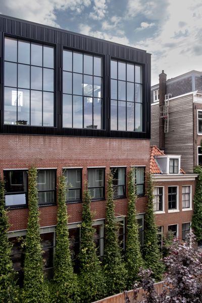 Vines were added up the side of the building. These naturally help cool down the building and on an aesthetic level, serve as a winding green beacon catching eyes at street level. For industrial buildings, that aren’t often all that welcoming and more or less categorically disconnected from nature, these interventions go a long way.