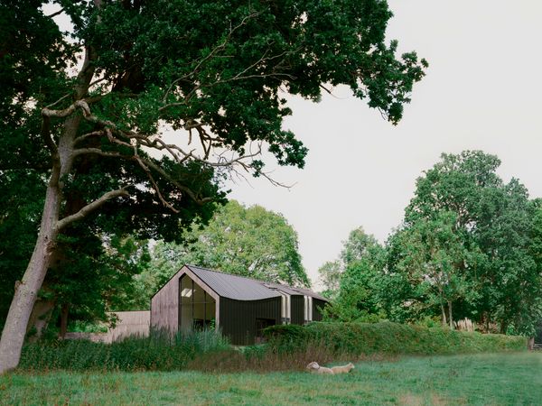 The Roof of This Barnlike U.K. Home Takes a Surprising Turn