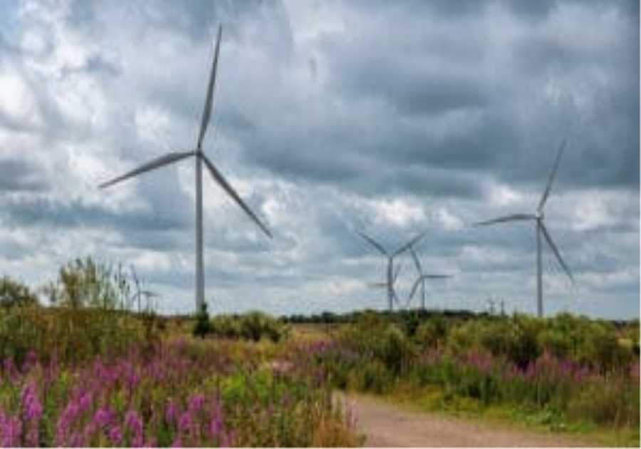 SSE unveils £33bn plan to upgrade UK electricity networks with £2bn investor backing