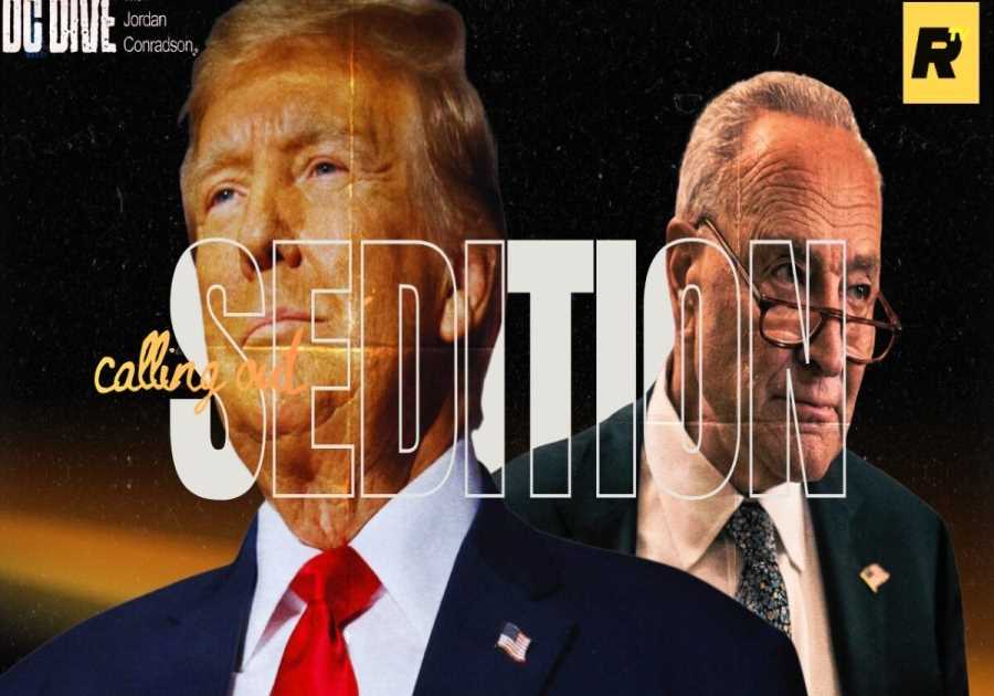 WATCH: Trump CALLS OUT Dems for ‘Seditious’ Behavior | DC Dive