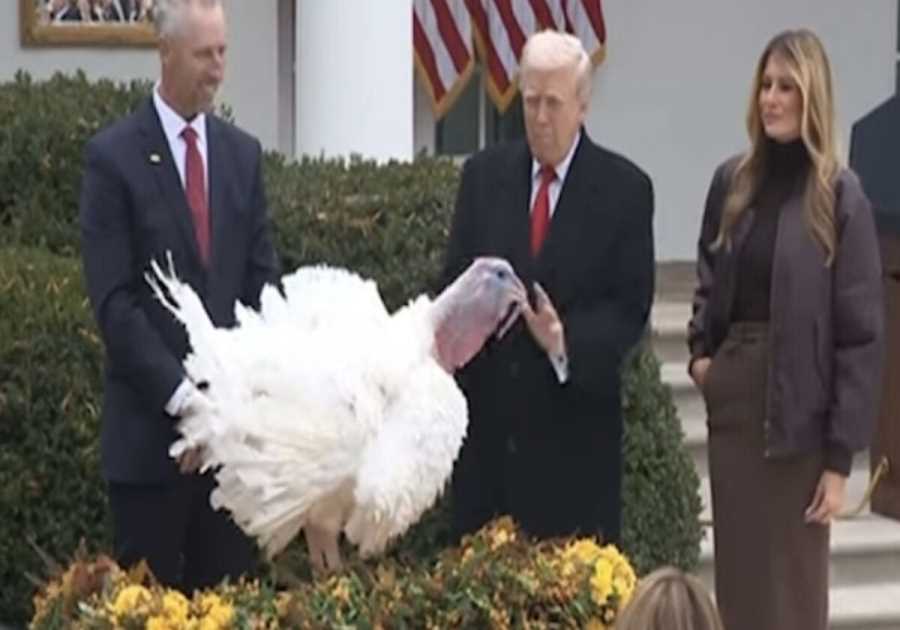 WATCH: Trump Roasts Chuck Schumer and Nancy Pelosi at Turkey Pardon, Jokes Record Setting Turkeys are Extremely Fat but Still MAHA