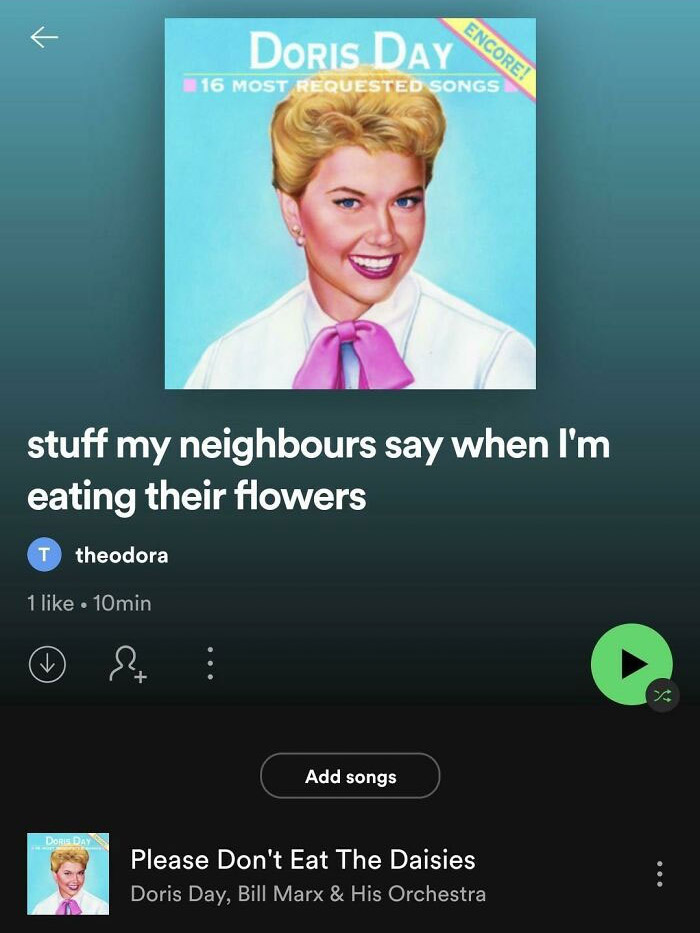 Escaping Spotify’s algorithm