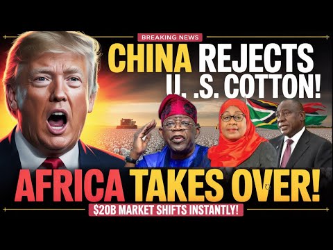“China Rejects American Cotton — Africa Takes Over the Billion-Dollar Market Overnight!”