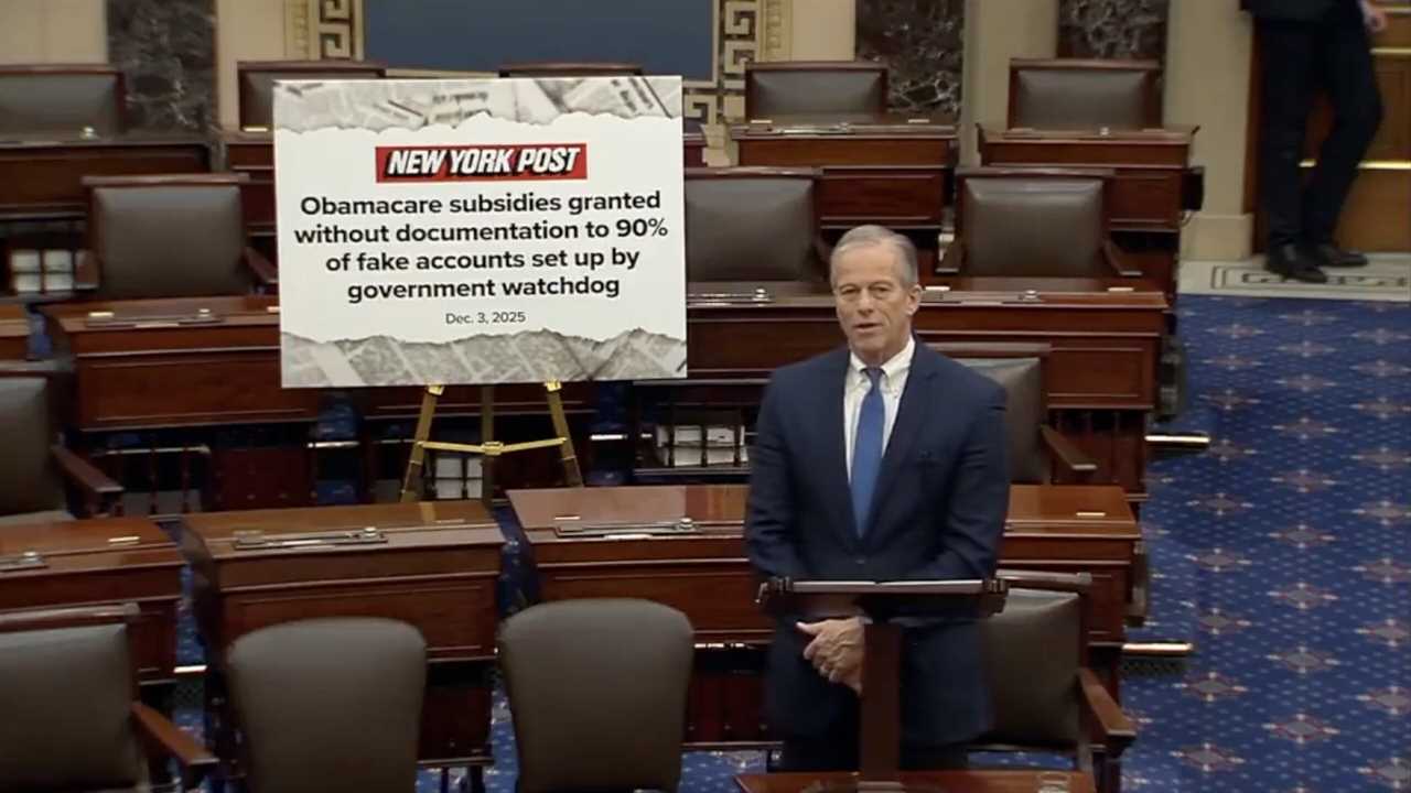 Senator discusses a New York Post article about Obamacare subsidies granted to fake accounts without documentation in the Senate chamber.