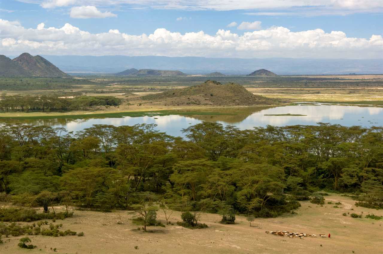 Welcome to Kenya’s Great Carbon Valley: a bold new gamble to fight climate change