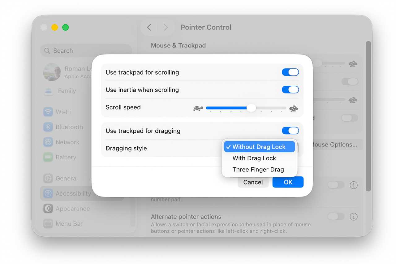 macOS Tahoe Accessibility Pointer Control