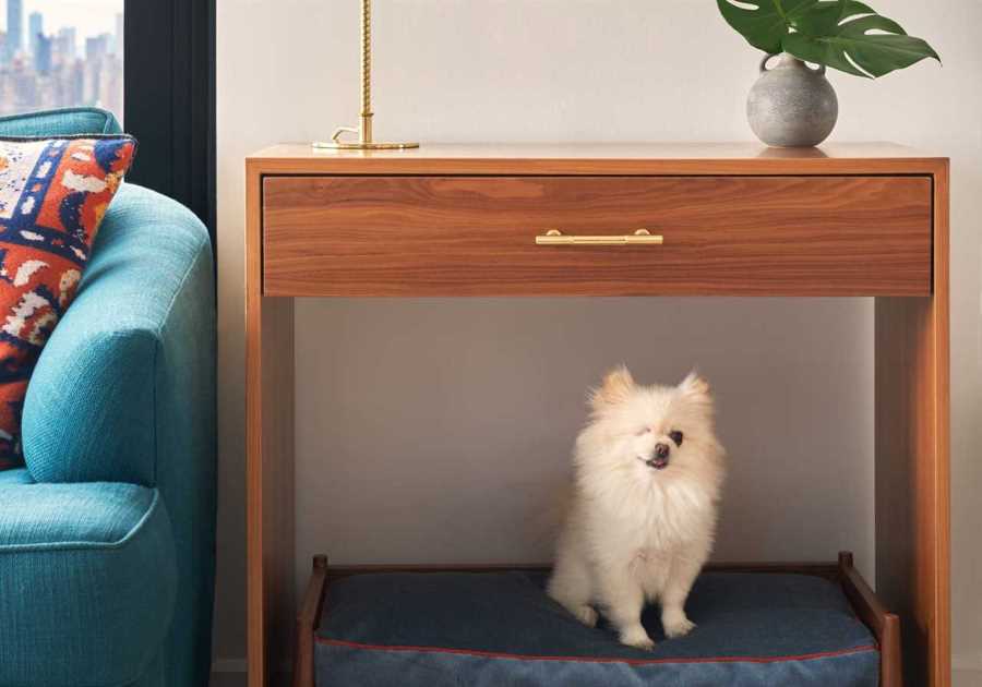 Here’s How to Create a Custom Dog Bed You’ll Actually Want to Look At