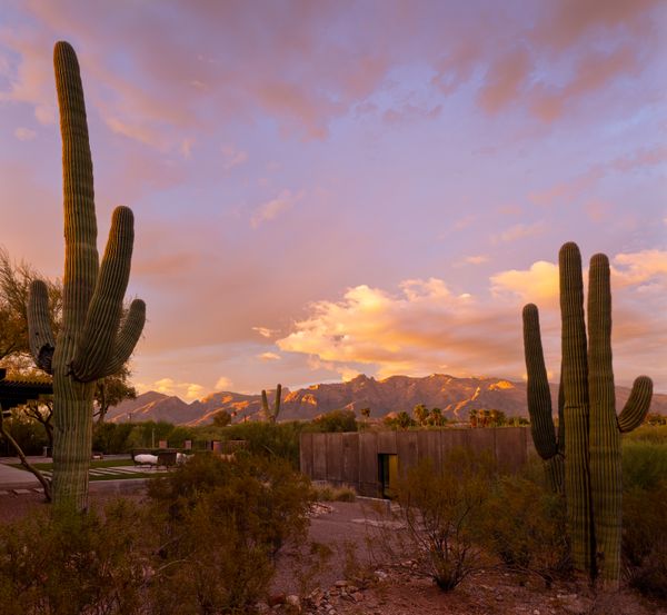 Every Room of This Arizona ADU Captures a New View of the Sonoran Desert