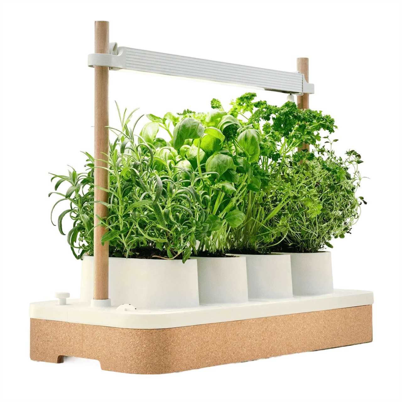 Actually Good-Looking Grow Lights to Get Your Plants Through the Winter