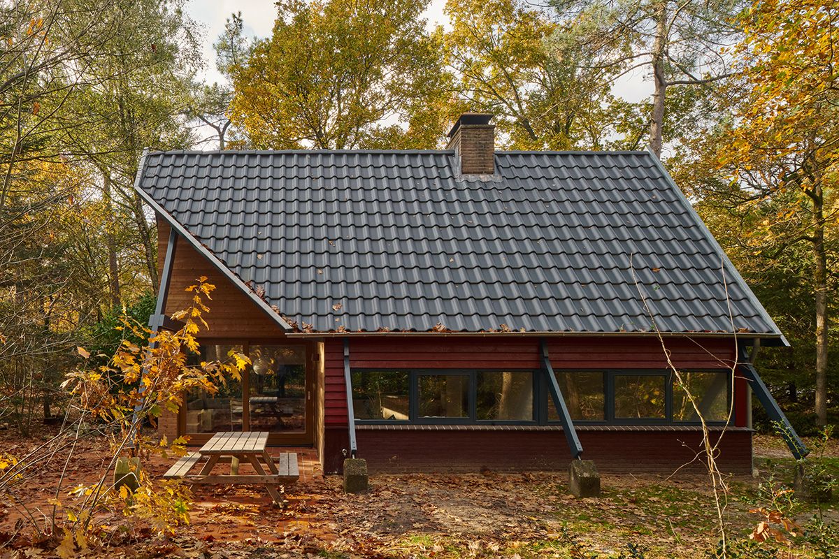 A Dutch Family’s Renovated A-Frame Cabin Doubles as a Bat Hotel