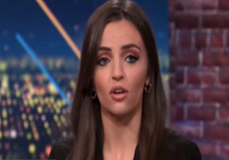 Conservative Guest Schools CNN Panel on the Truth About the Fake News That ICE Detained a 5 Year-Old (VIDEO)