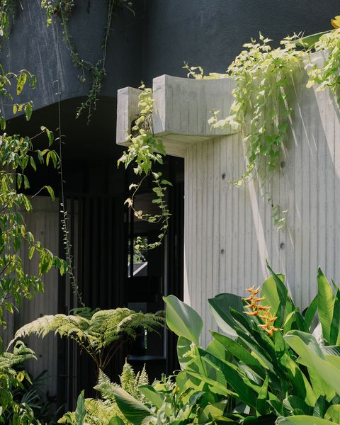 A gutter designed as an unexpected sculptural element.