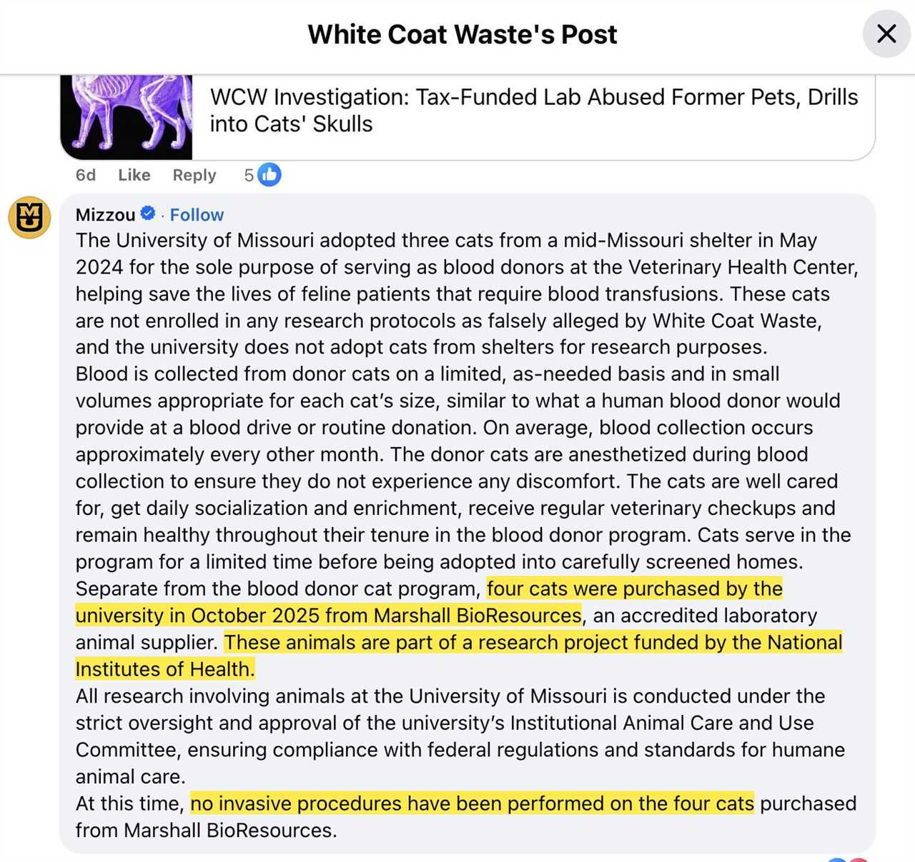 University of Missouri adopts cats for blood donation to support feline health, ensuring humane treatment and compliance with animal care regulations.