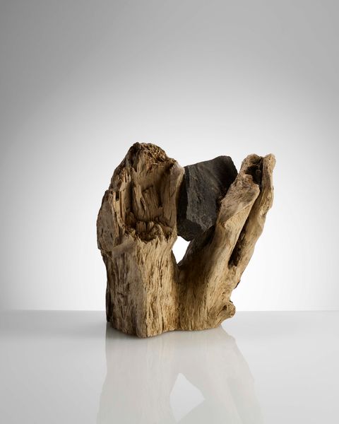 Why Designer Drew Seskunas Sawed Off This Weird Tree Root