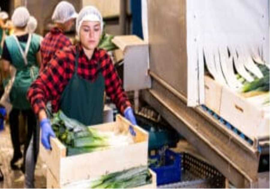 Anchr raises $5.8M to bring AI-native automation to America’s food supply chain