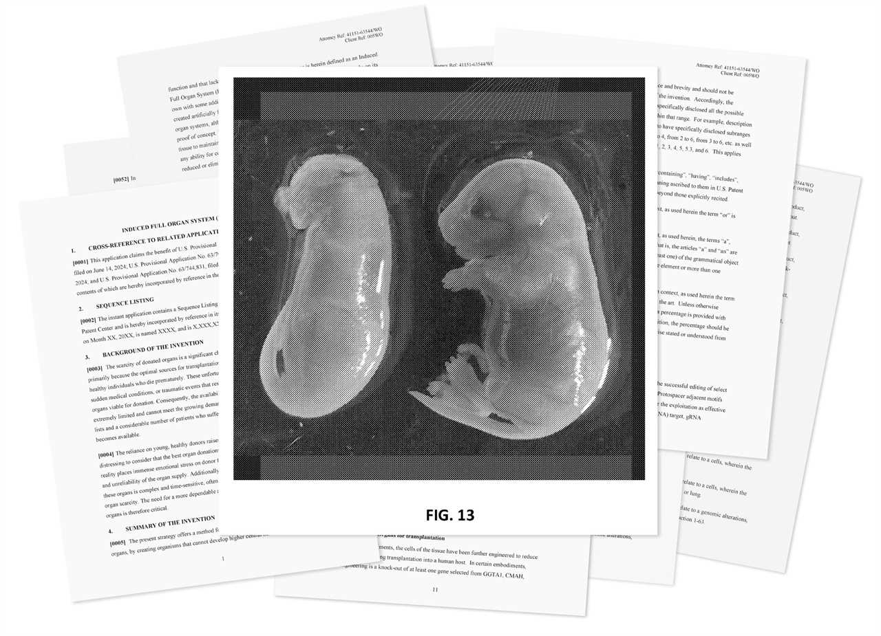 Fig 13 from a patent application