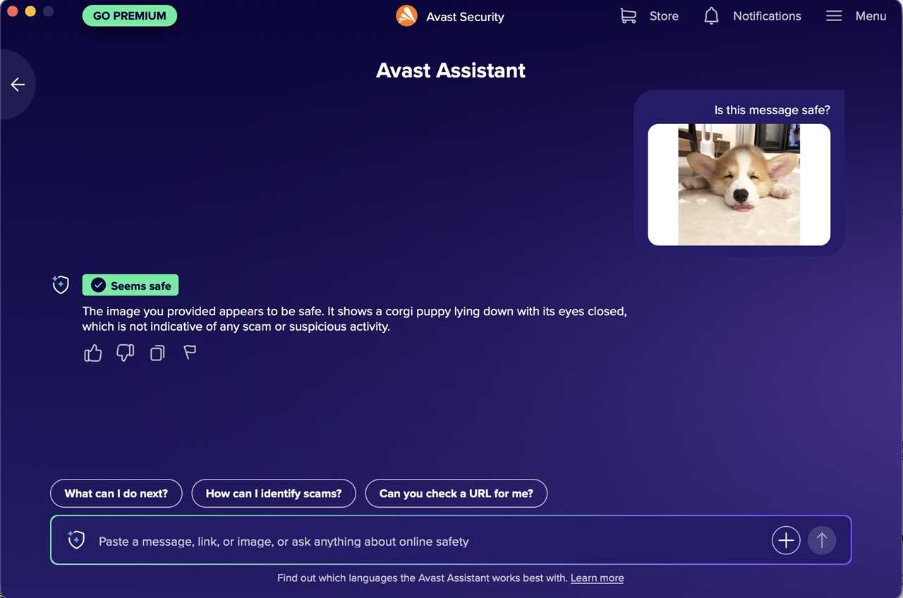 AvastFree Safe puppy