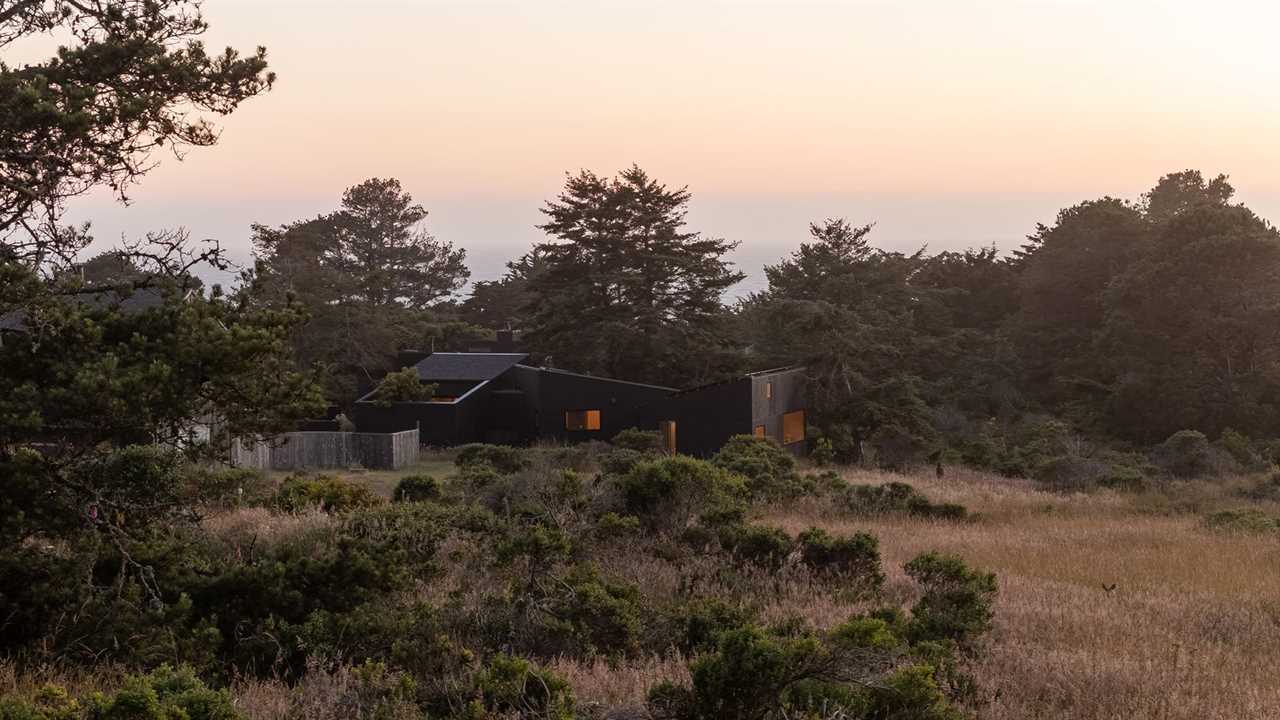 Douglas Firs Are the Main Characters at This Sea Ranch Home Built by Four Friends