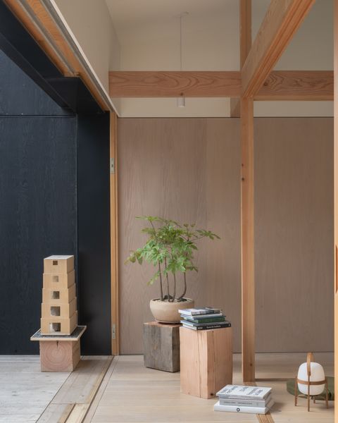 Douglas Firs Are the Main Characters at This Sea Ranch Home Built by Four Friends