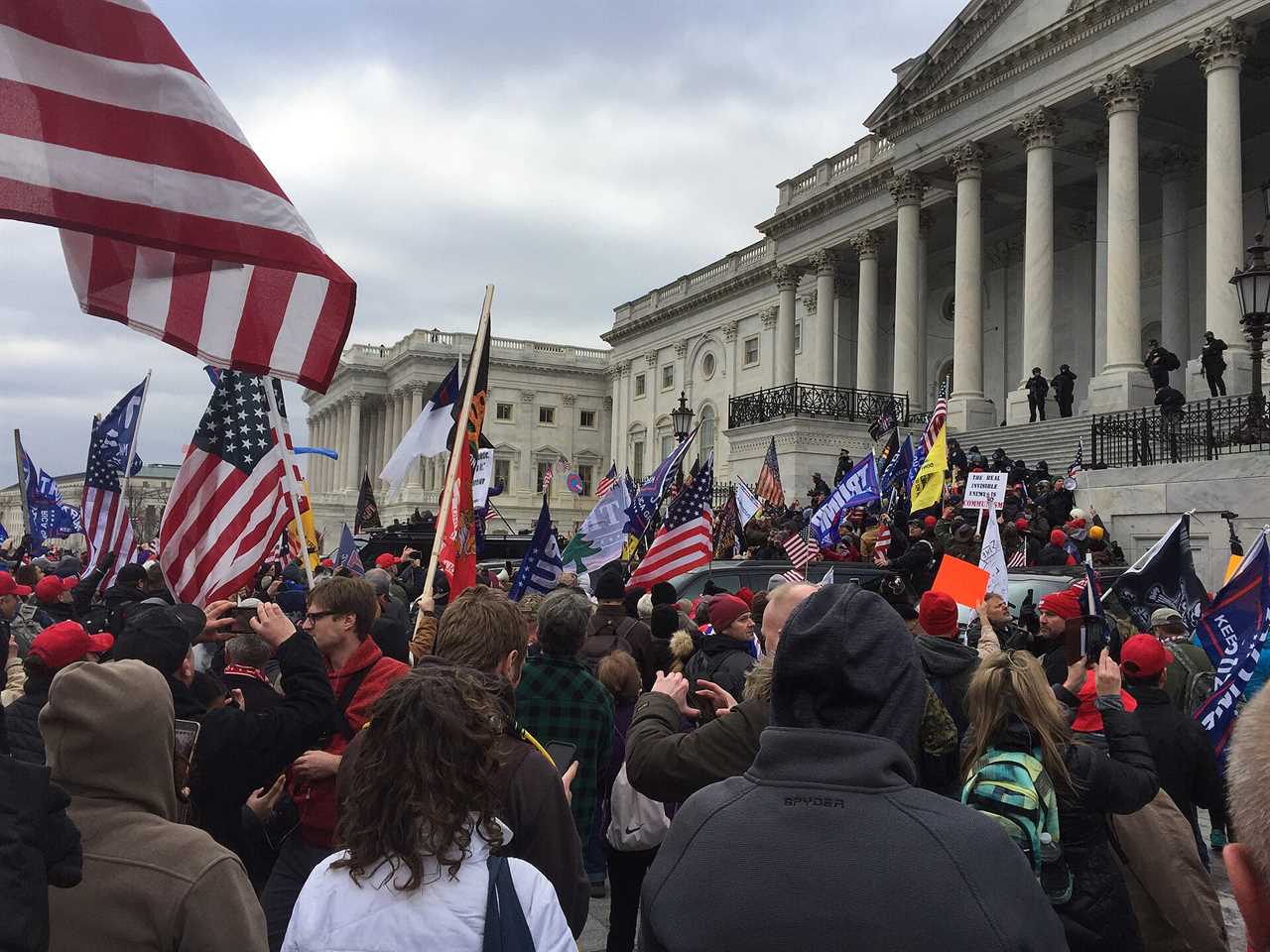 Crowd of protesters with various flags gathered in front of the Capitol building during a significant political event.