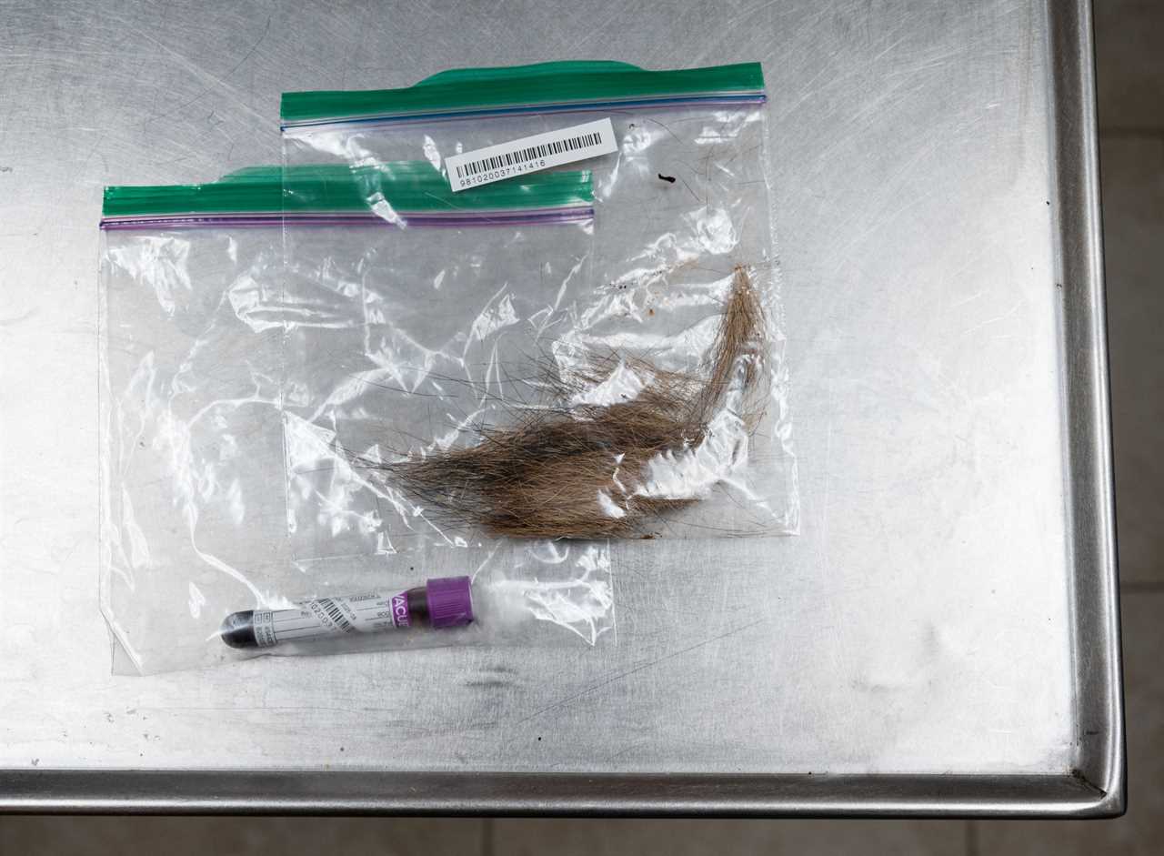 hair in Zip-Loc bags on a metal tray