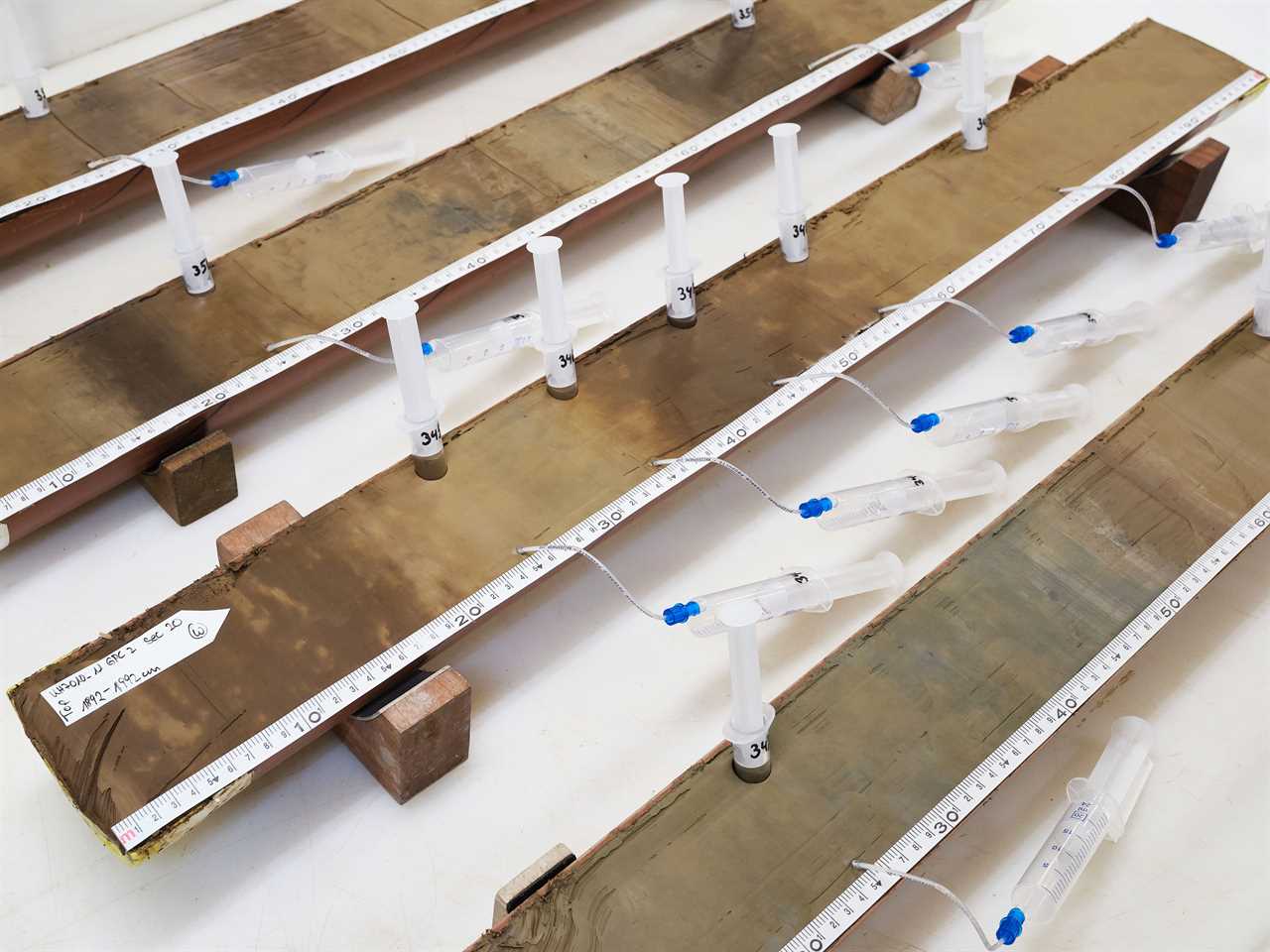 rows of the cut pipes with plastic syringes inserted at intervals 