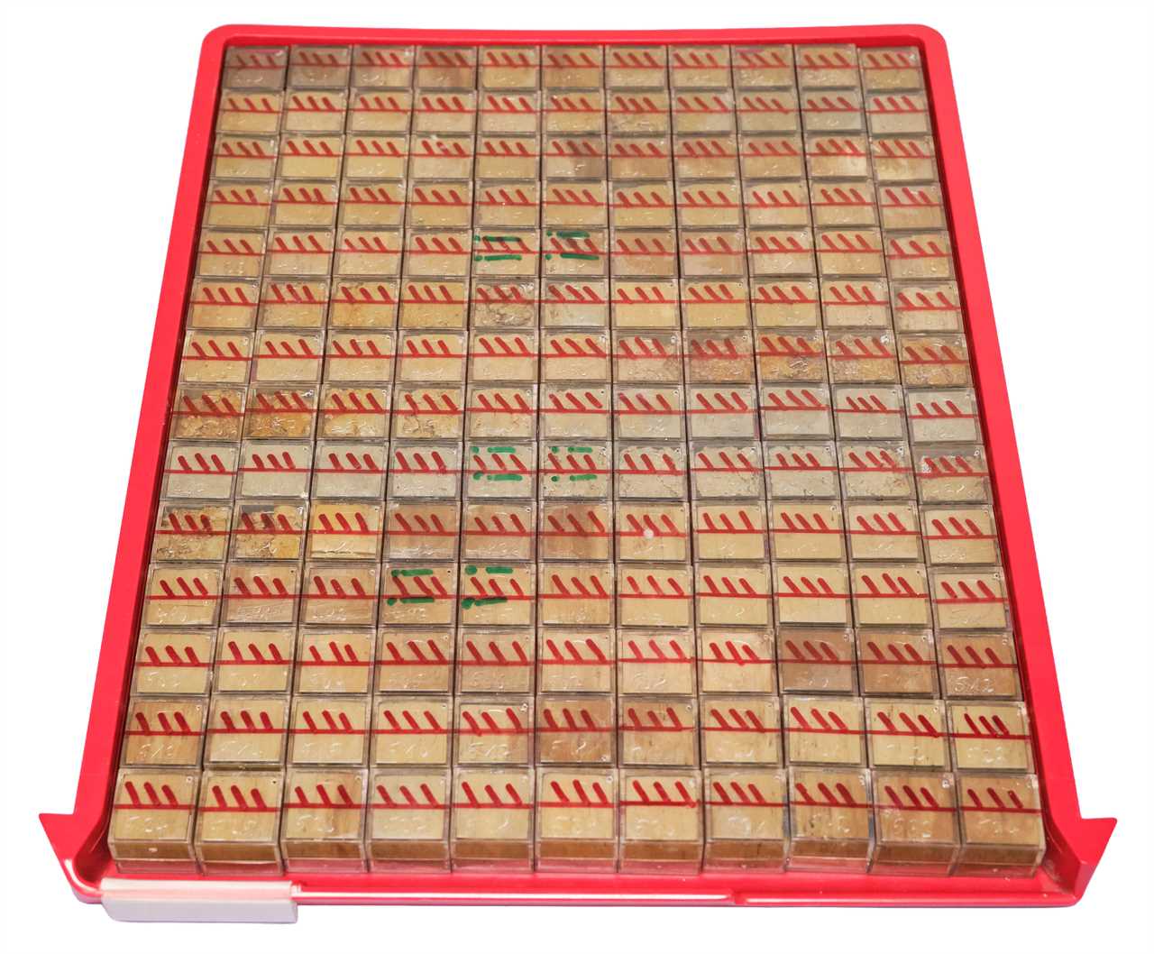 a tray of square samples