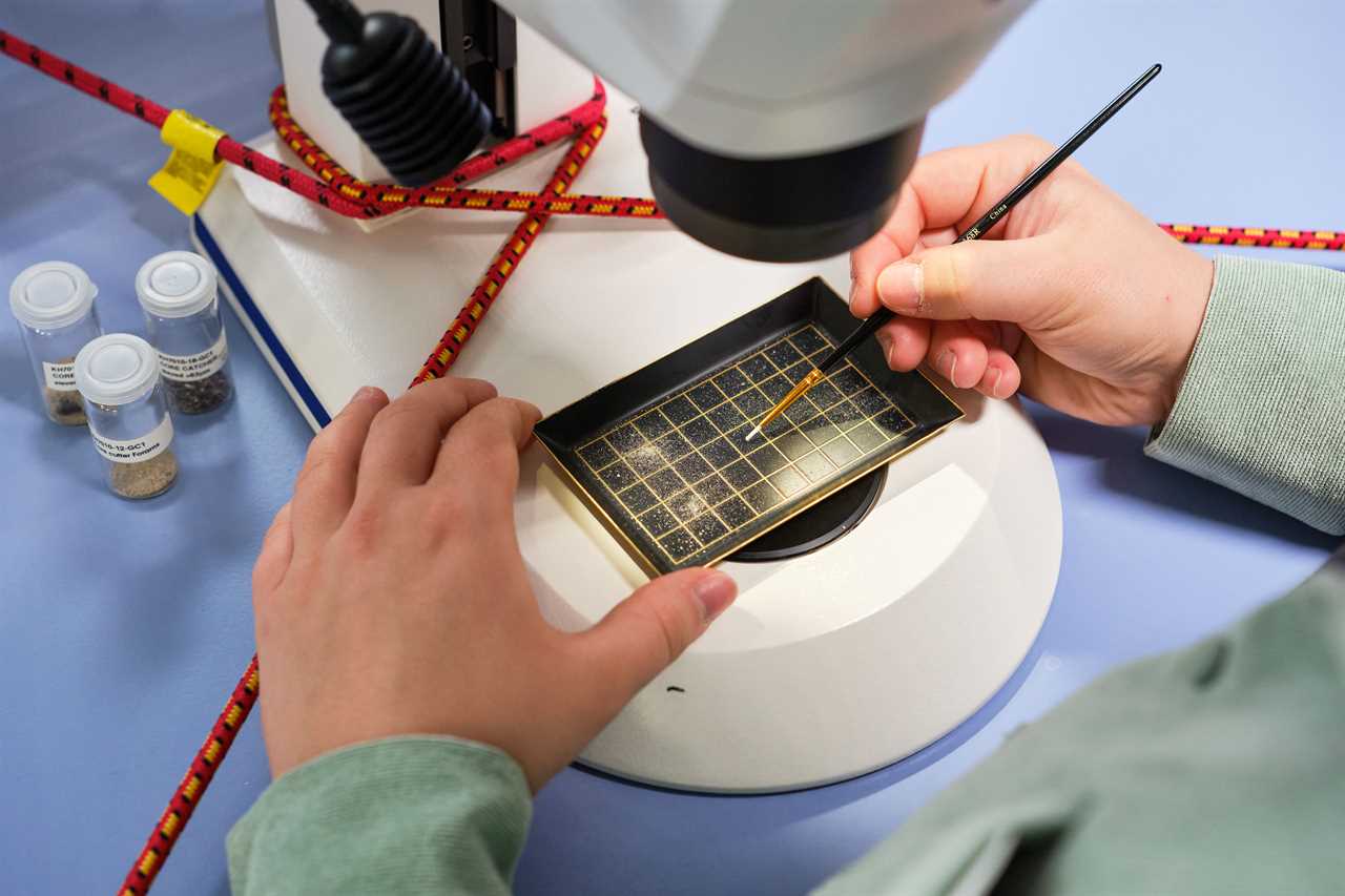 closeup of hands holding an instrument to a tray under a microscope