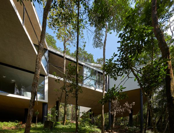 This 5,382-Square-Foot Home in Brazil Weaves Through the Forest on a Network of Piles