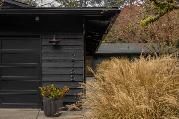The exterior is clad in matte-black-painted rough cedar siding.
